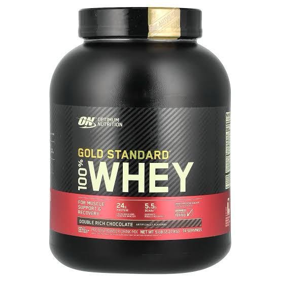 Gold Standard Whey Protein (Big size)
